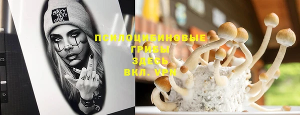 дживик Балахна