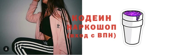прущий лед Арсеньев