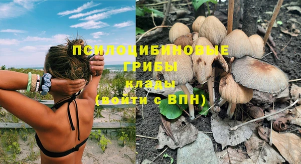 гашишное масло Аркадак
