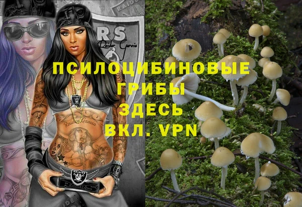 прущий лед Арсеньев