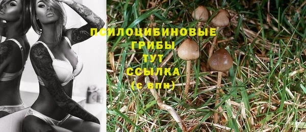гашик Балабаново