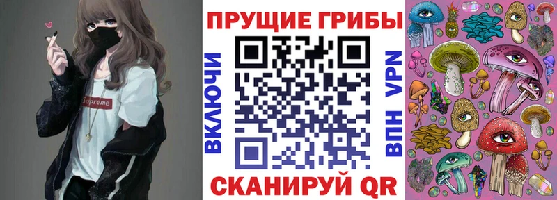 Псилоцибиновые грибы Psilocybine cubensis  mega ONION  Новосиль 